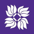 上海纽约大学